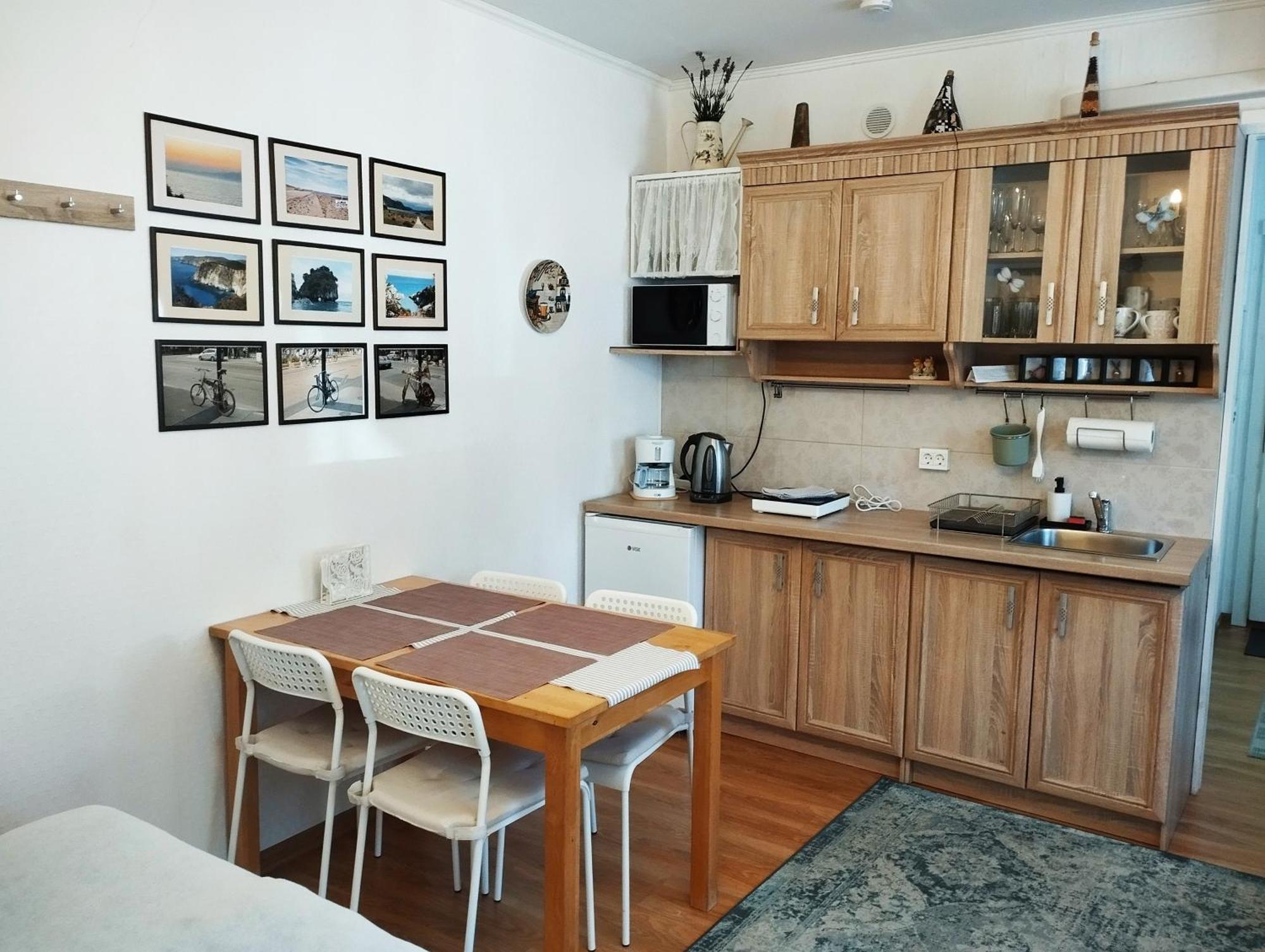 Eco-Lux Apart With Free Bicycles End Free Parking Liubliana Exterior foto